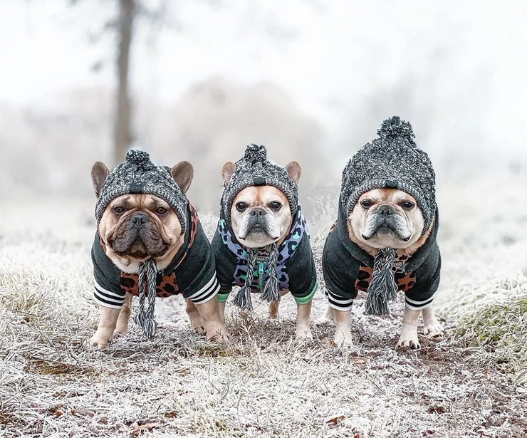 Warm Winter Pet Hat