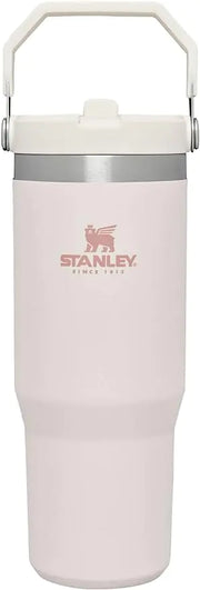 STANLEY IceFlow Stainless Steel Tumbler with Straw, Vacuum Insulated Water Bottle for Home, Office or Car, Reusable Cup with Straw Leak Resistant Flip