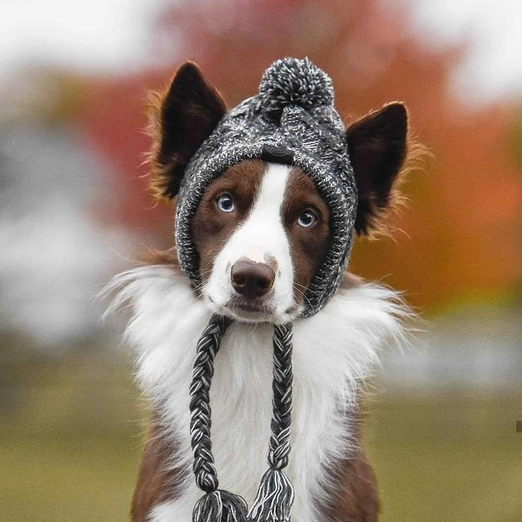 Warm Winter Pet Hat