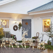 3pcs Christmas Wrought Iron Deer LED Light Glowing